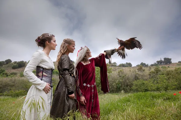 medieval_ladies_and_falcon_by_costurero_real