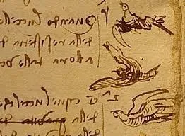 leonardo.da.vinci