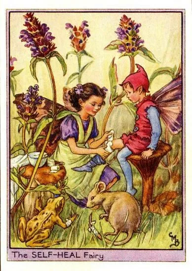 self-heal-flower-fairy-print-cicely-mary-barker